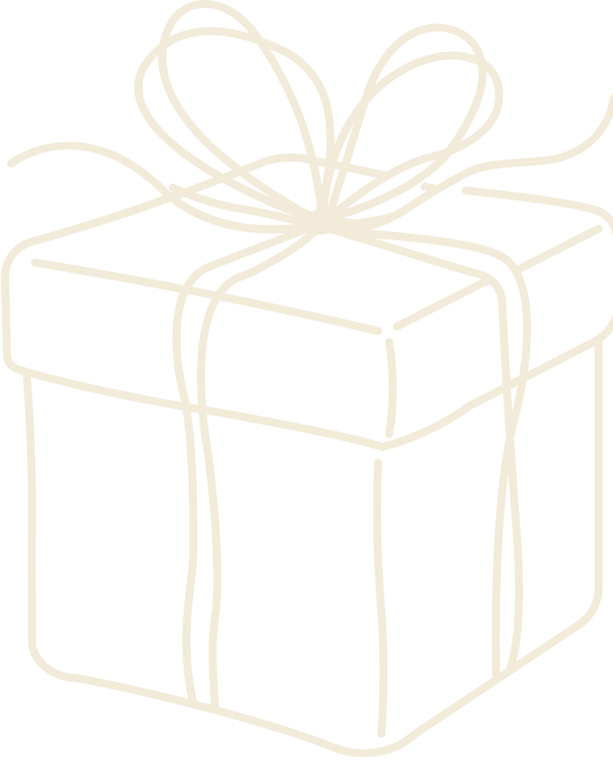 Caja de Regalo